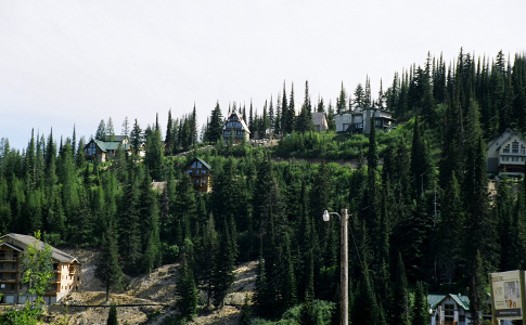 [Amid the tall evergreens are multi-story chalet-style houses.]